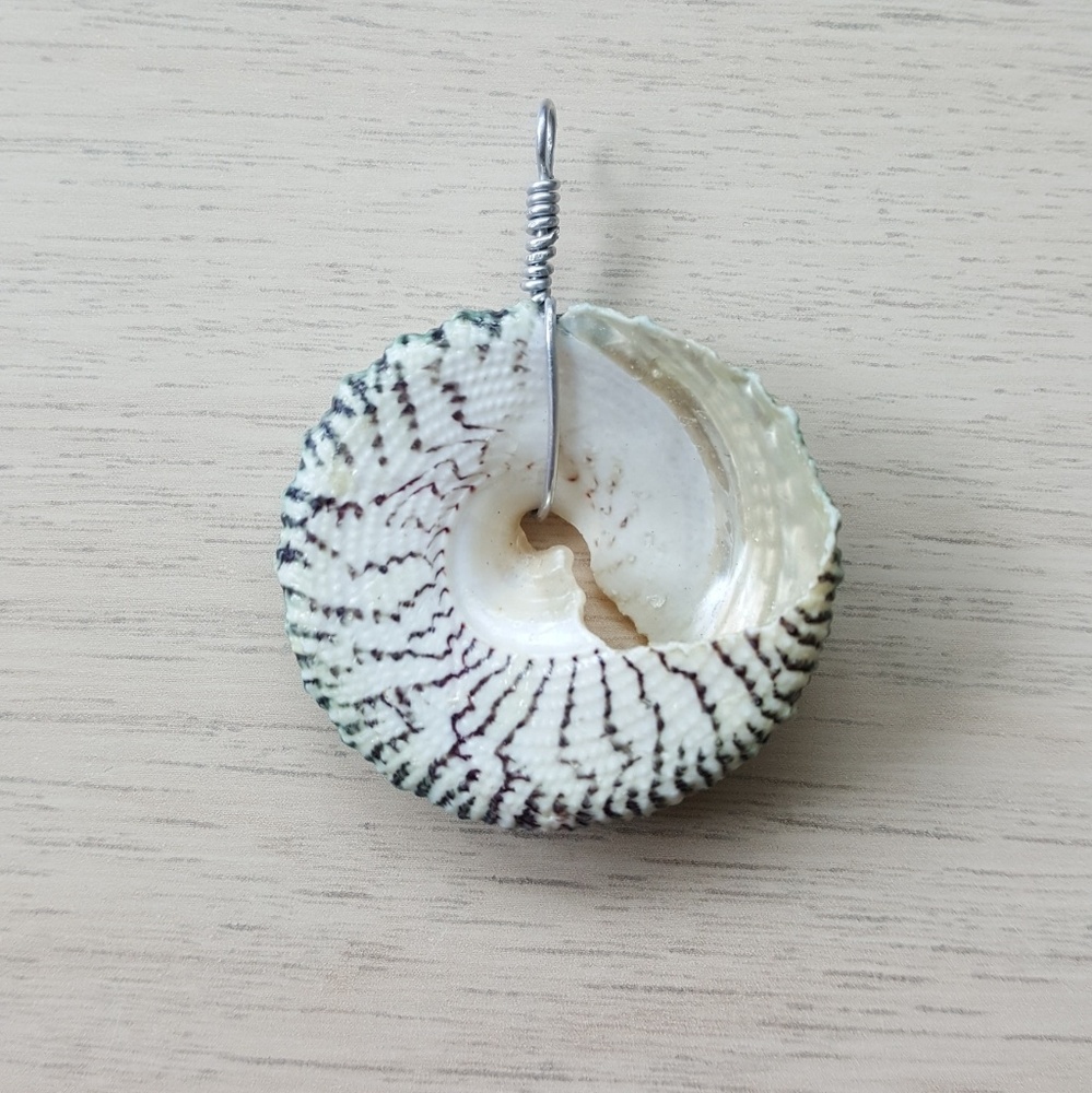 Seashell pendant